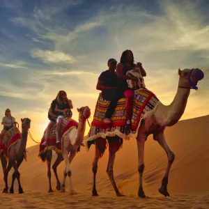 Premium Red Dunes Safari with Camel Ride & International buffet dinner at Al Khayma Camp – Desert safaris Desert safaris Shop Online at Special Price from Dubai Trades