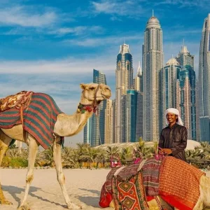 Private Dubai City Tours:… in Sharjah & N. Emirates | Dubai Trades Miscellaneous Shop Online at Special Price from Dubai Trades
