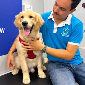 Professional Mobile Pet… in Dubai | Dubai Trades Miscellaneous Shop Online at Special Price from Dubai Trades