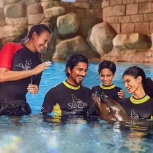 Sea Lion Experiences at Atlantis The Palm – Water Parks Travel, Activities & Events Shop Online at Special Price from Dubai Trades