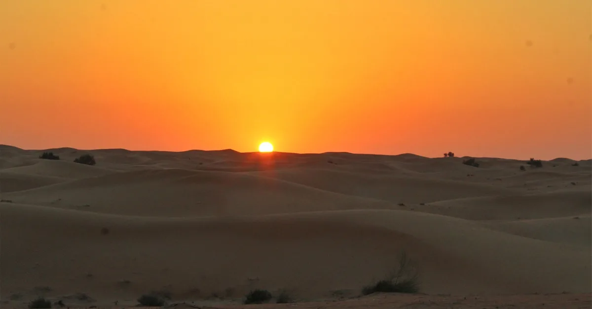 Buy Self-drive Evening Desert Safari in Sharjah & N. Emirates | Dubai Trades Now at Special Price in DubaiTrades.com 4 Self-drive Evening Desert Safari in Sharjah & N. Emirates | Dubai Trades Extreme sports & adrenaline activities Shop Online at Special Price from Dubai Trades 4