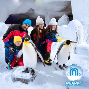 Ski Dubai: Snow Premium with Penguin Encounter – Must-see attractions Must-see attractions Shop Online at Special Price from Dubai Trades