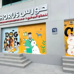 Small Cat/Dog, Medium Dog Or Large Dog Full Grooming in Abu Dhabi | Dubai Trades Miscellaneous Shop Online at Special Price from Dubai Trades