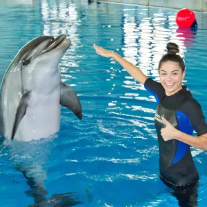 Swimming With Dolphins – Dubai Dolphinarium – Dubai Dolphinarium Dubai Dolphinarium Shop Online at Special Price from Dubai Trades