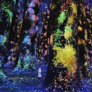 TeamLab Phenomena + Qasr Al Watan – Combo – Recently Added Experiences Recently Added Experiences Shop Online at Special Price from Dubai Trades