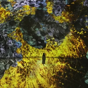 TeamLab Phenomena + Yas Waterworld – Combo – Recently Added Experiences Recently Added Experiences Shop Online at Special Price from Dubai Trades