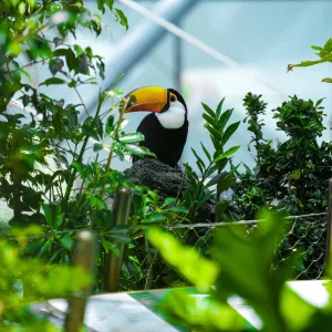 The Green Planet Dubai – Experiences Experiences Shop Online at Special Price from Dubai Trades 2