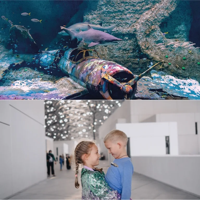 Buy The National Aquarium + Louvre Abu Dhabi – Combo – Combos and more adventures Now at Special Price in DubaiTrades.com 2 The National Aquarium + Louvre Abu Dhabi – Combo – Combos and more adventures Combos and more adventures Shop Online at Special Price from Dubai Trades 2