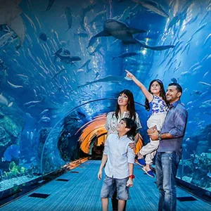 Underwater Zoo And Dubai Tour | Dubai Trades Miscellaneous Shop Online at Special Price from Dubai Trades