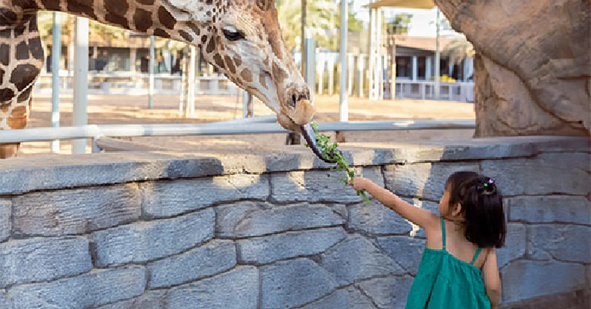 Buy Unleash Adventure: Zoo Entrance + 2 Exciting Activities For 1 Or 2! in Abu Dhabi | Dubai Trades Now at Special Price in DubaiTrades.com 4 Unleash Adventure: Zoo Entrance + 2 Exciting Activities For 1 Or 2! in Abu Dhabi | Dubai Trades Miscellaneous Shop Online at Special Price from Dubai Trades 4