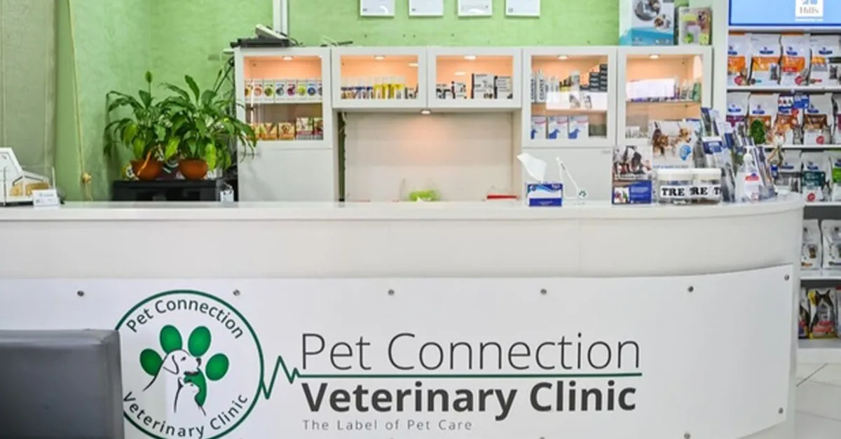 Buy Veterinary Examination At Pet Connection Veterinary Clinic in Dubai | Dubai Trades Now at Special Price in DubaiTrades.com 4 Veterinary Examination At Pet Connection Veterinary Clinic in Dubai | Dubai Trades Miscellaneous Shop Online at Special Price from Dubai Trades 4