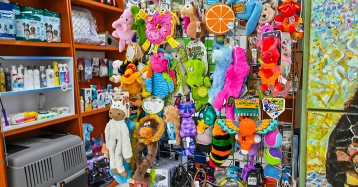 Buy Veterinary Examination At Pet Connection Veterinary Clinic in Dubai | Dubai Trades Now at Special Price in DubaiTrades.com 5 Veterinary Examination At Pet Connection Veterinary Clinic in Dubai | Dubai Trades Miscellaneous Shop Online at Special Price from Dubai Trades 5