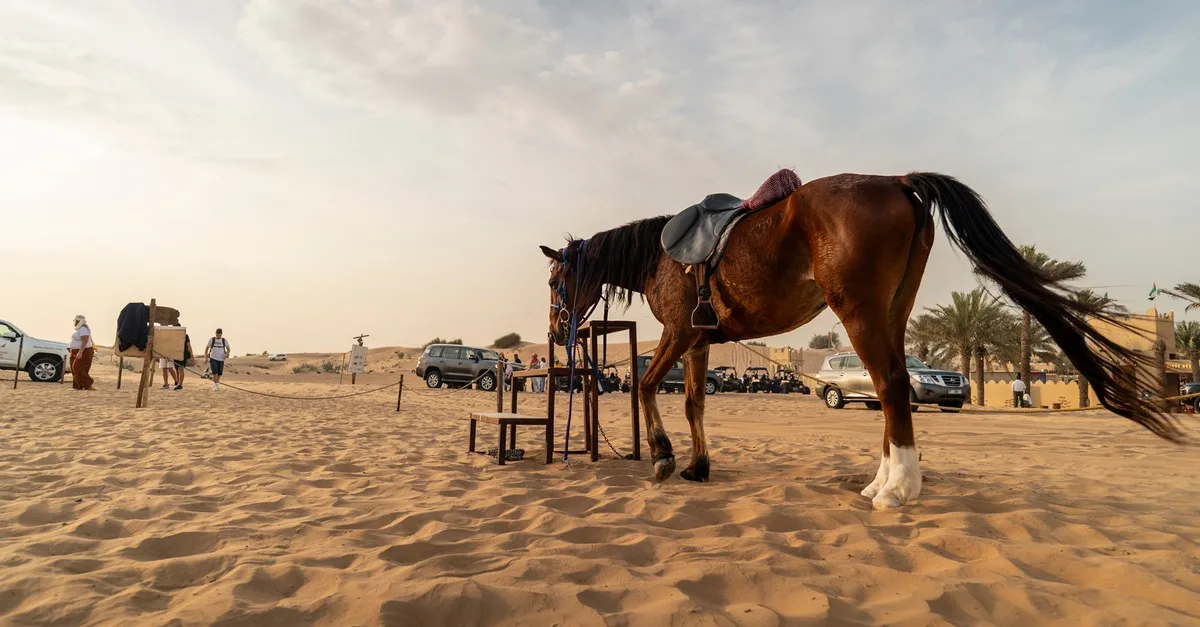 Buy Vip Gold Desert Safari With… in Dubai | Dubai Trades Now at Special Price in DubaiTrades.com 3 Vip Gold Desert Safari With… in Dubai | Dubai Trades Miscellaneous Shop Online at Special Price from Dubai Trades 3