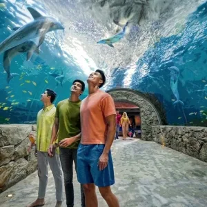 Yas Island Theme Park Adventures in Dubai | Dubai Trades Travel, Activities & Events Shop Online at Special Price from Dubai Trades