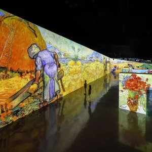 Arte Museum Dubai: An Immersive Media Art Exhibition – Gift Card in Dubai Concerts & Live Music Shop Online at Special Price from Dubai Trades 2