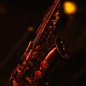 The Jazz Room: A Journey to the Heart of New Orleans in Dubai Concerts & Live Music Shop Online at Special Price from Dubai Trades 2
