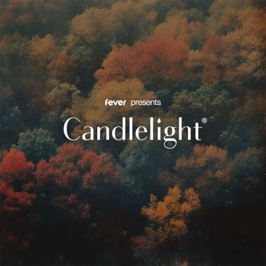 Buy Candlelight: The Best of Ludovico Einaudi in Dubai Now at Special Price in DubaiTrades.com 2 Candlelight: The Best of Ludovico Einaudi in Dubai Concerts & Live Music Shop Online at Special Price from Dubai Trades 2
